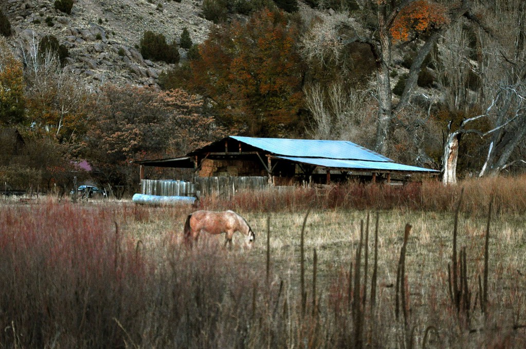 Dixon Nm