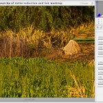 Noise reduction and masking gives vegetation painterly effect.