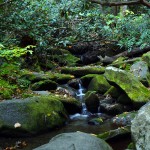 Small waterfall, Smokey Mountain National Park: Nkon D-600 at slow shutter speed