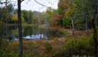 Tn 62 and S 298: A hidden pond from the road side