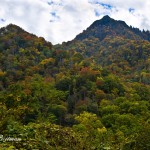 Hillside view of Smokey Mt National Park: Nikon D-800