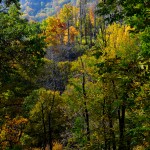 Changing seasons, Great Smokey Mt National Park: Nikon D-600