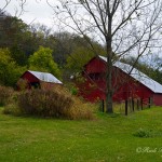 Freshly painted Kentucky red barns